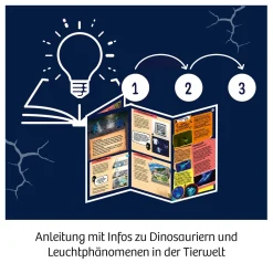 Fun Science Schwarzlicht-Expedition