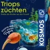 Fun Science Triops züchten