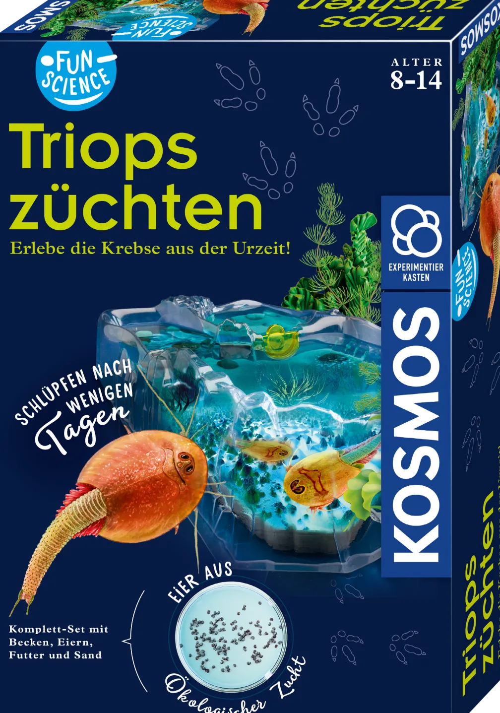 Fun Science Triops züchten