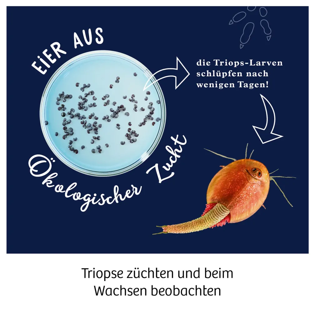 Fun Science Triops züchten