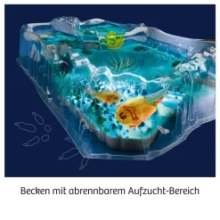 Fun Science Triops züchten