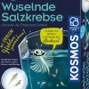 Fun Science Wuselnde Salzkrebse