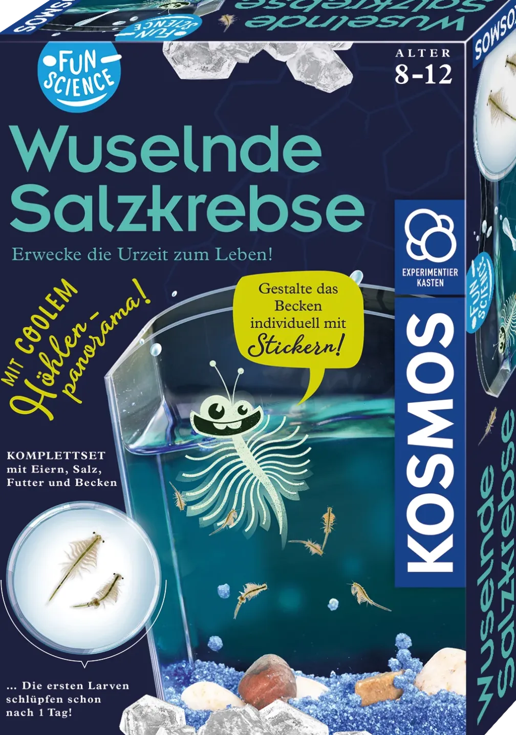 Fun Science Wuselnde Salzkrebse