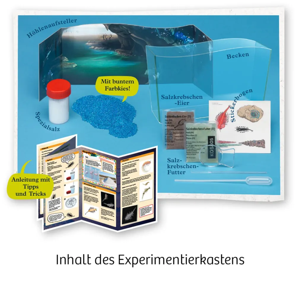 Fun Science Wuselnde Salzkrebse