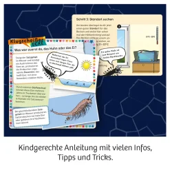 Fun Science Wuselnde Salzkrebse