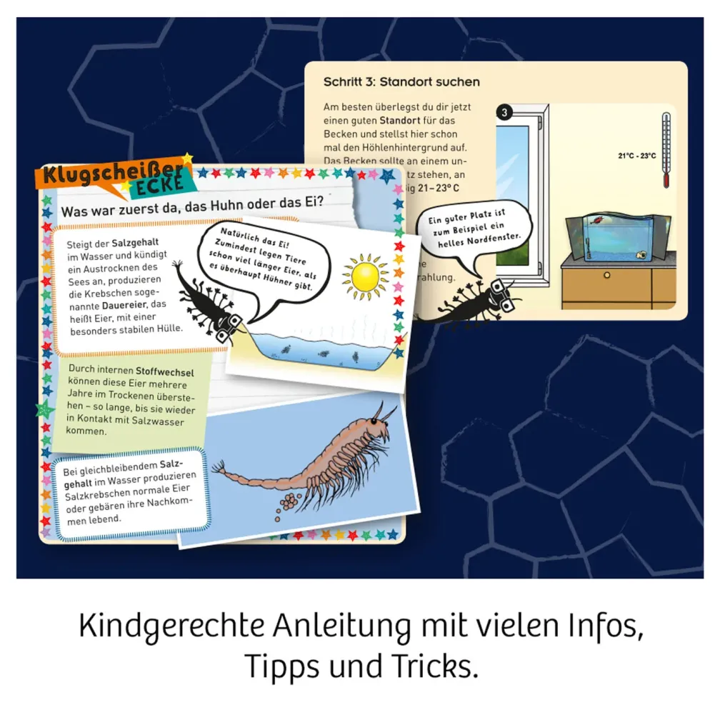 Fun Science Wuselnde Salzkrebse
