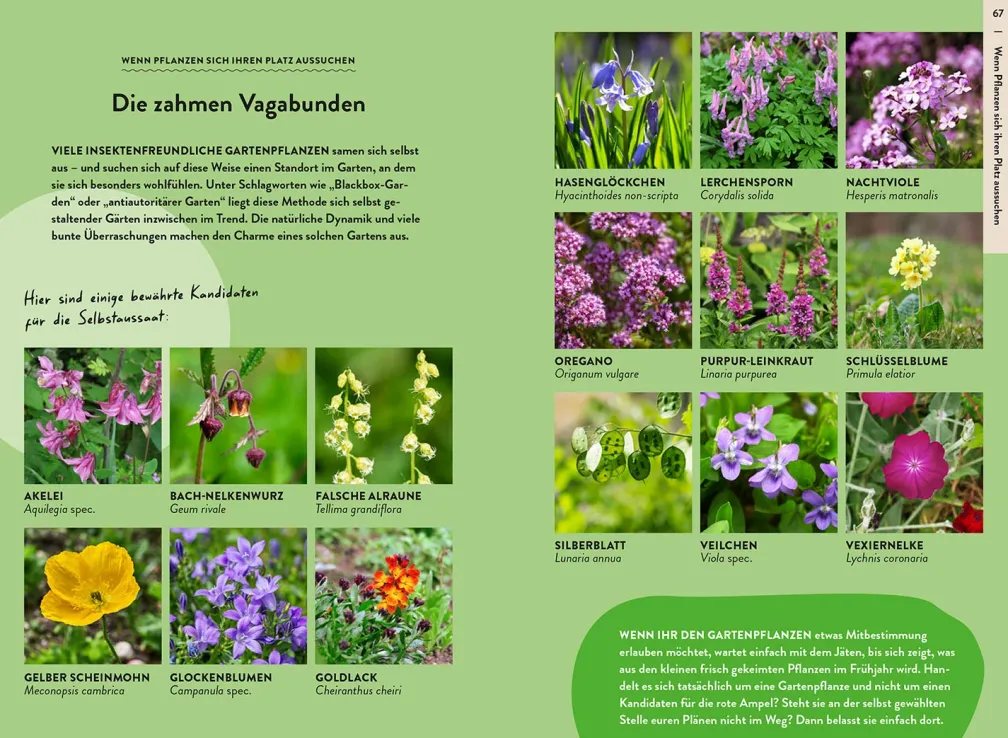 Garden Guide Wildkrautampel