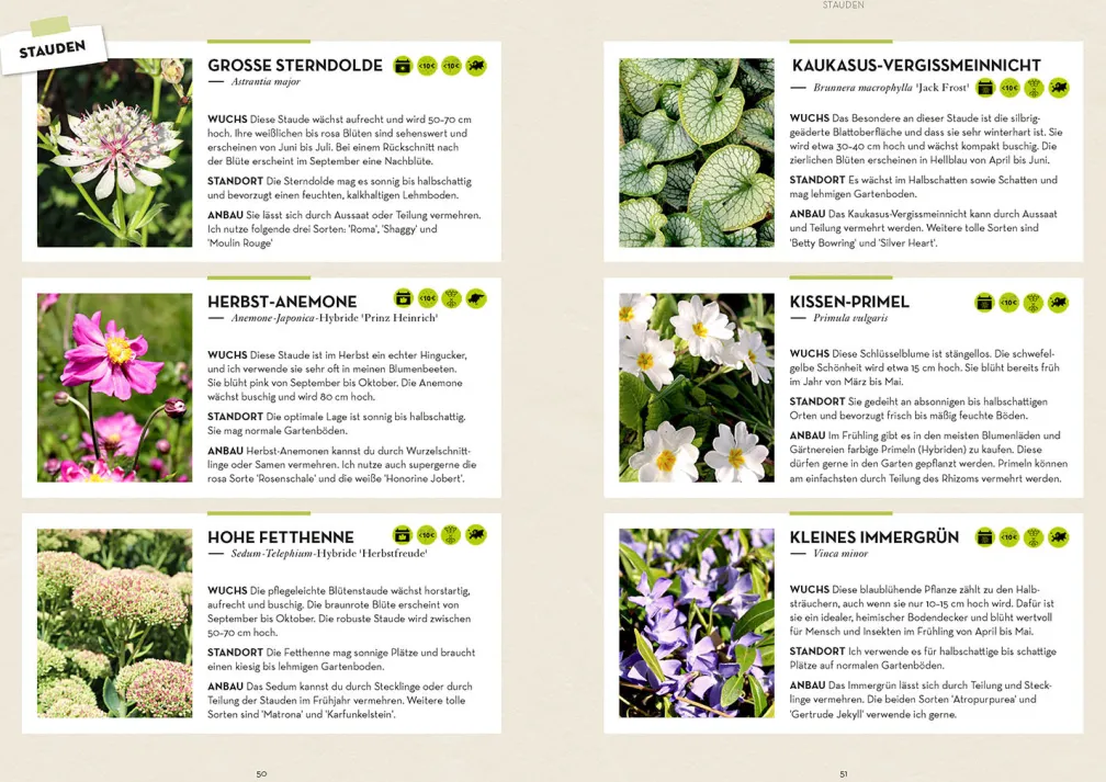 Garten - einfach günstig