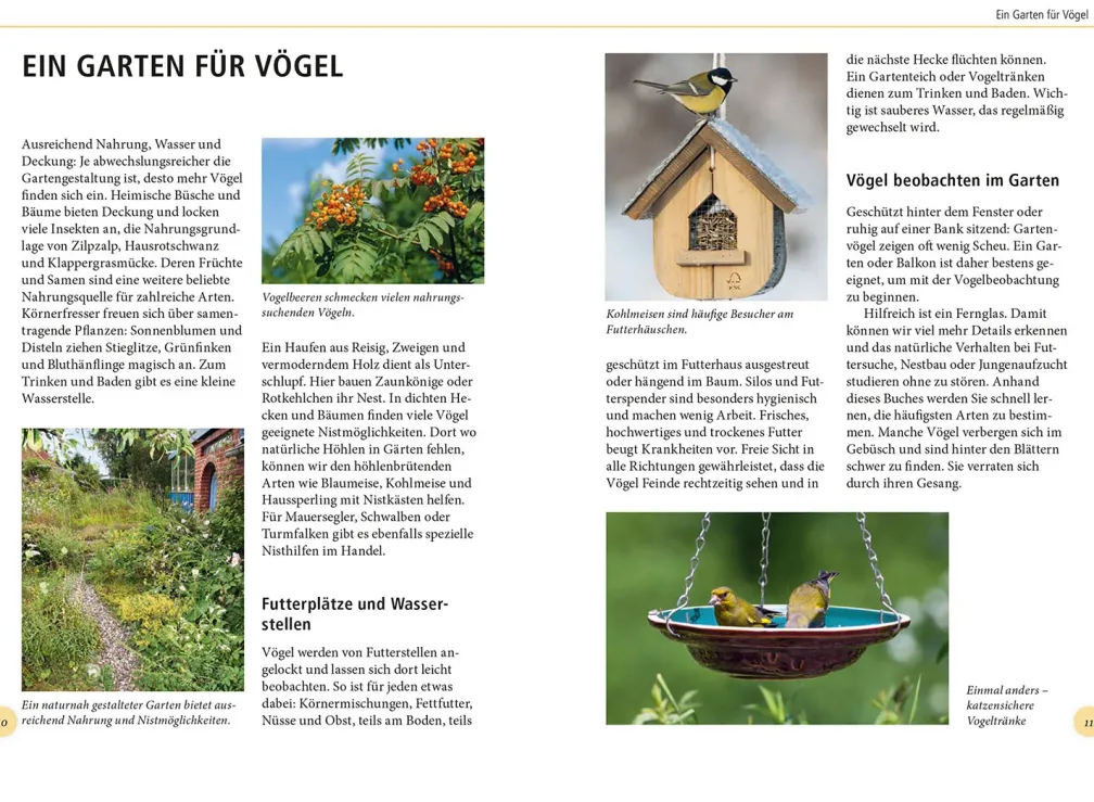 Gartenvögel lebensgroß