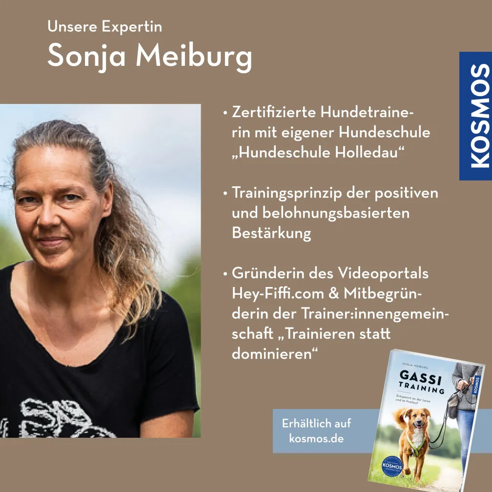 Gassi-Training – Entspannt unterwegs