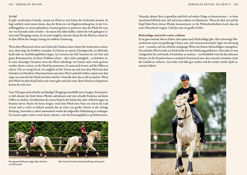Gebisslos Reiten