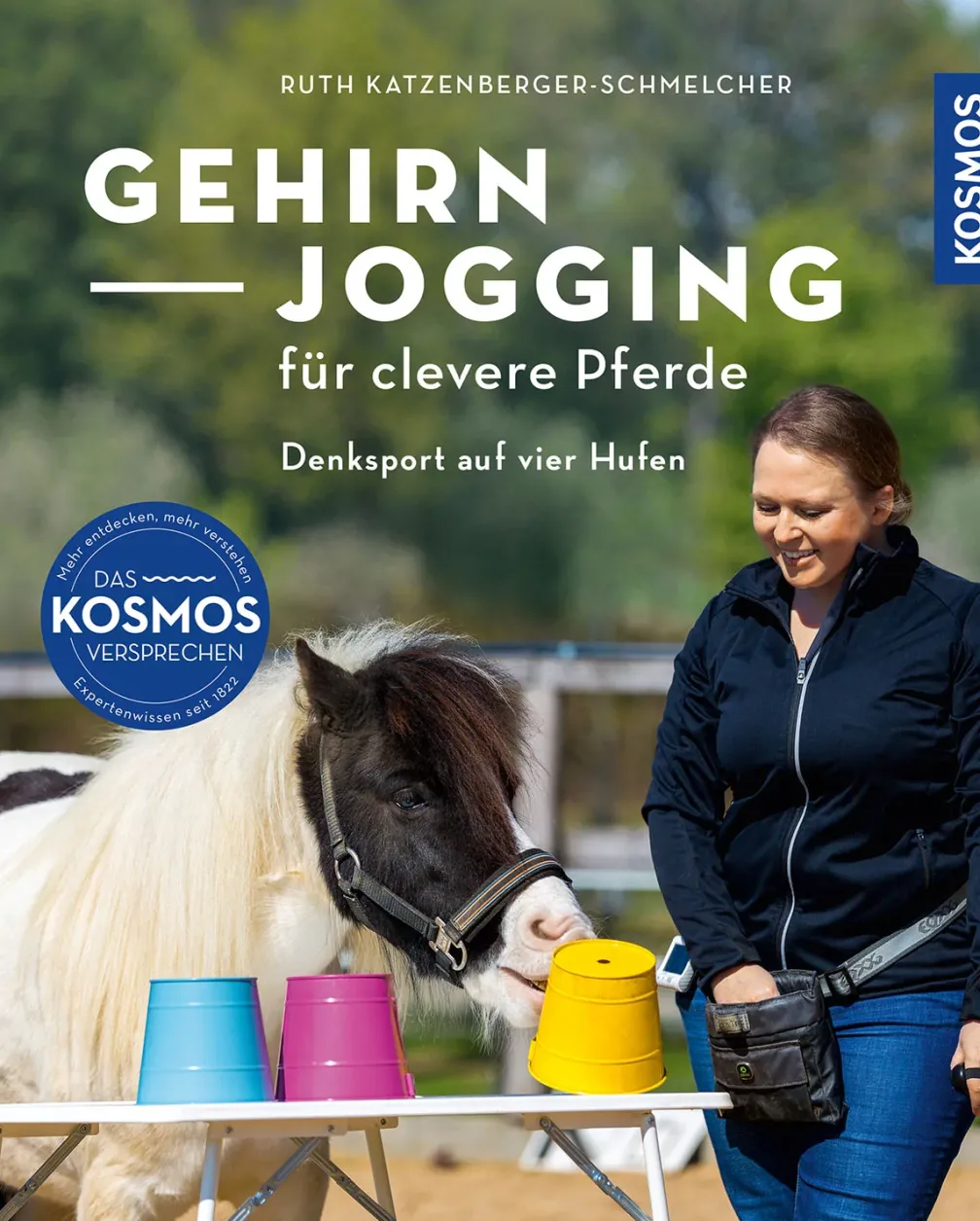 Gehirnjogging für clevere Pferde