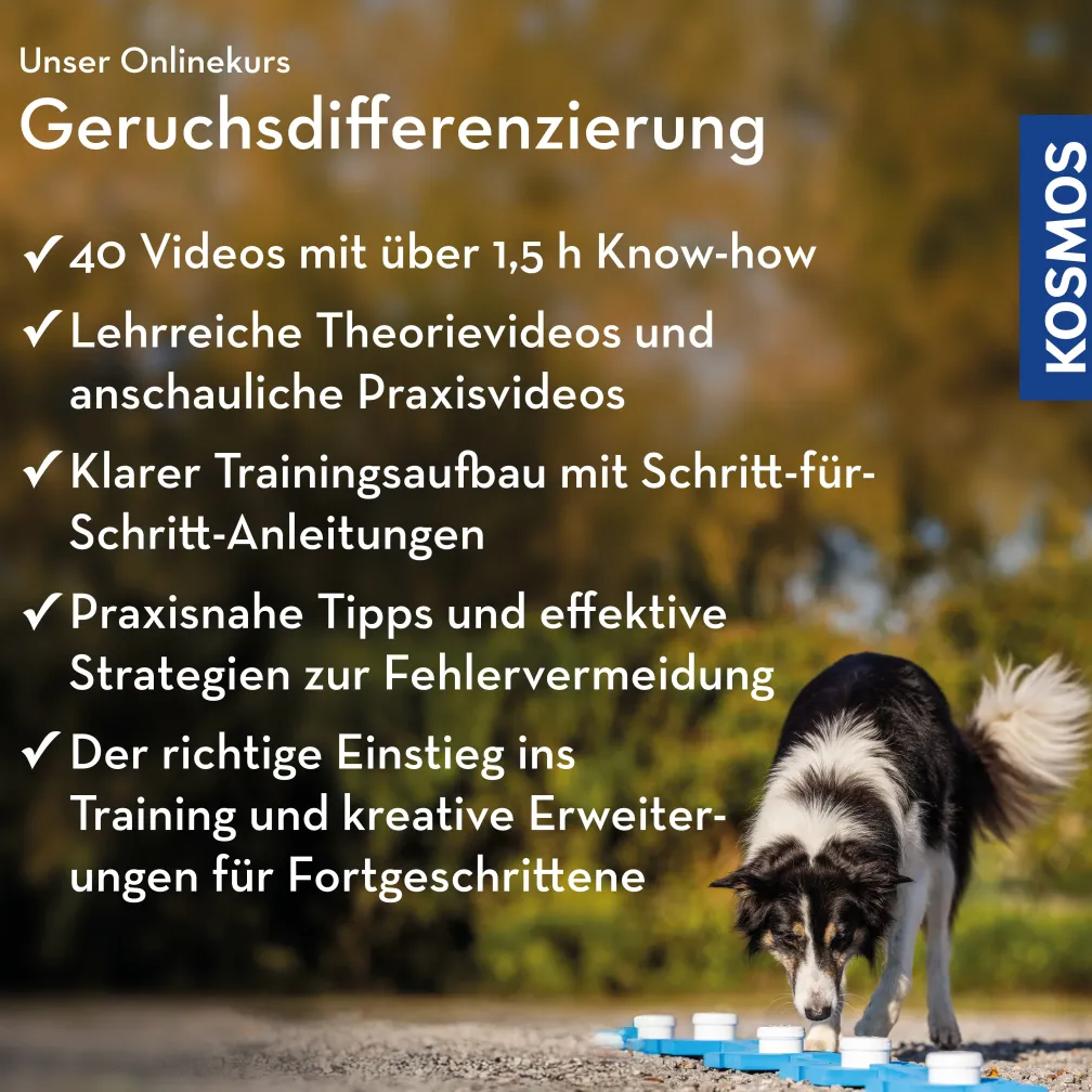 Geruchsdifferenzierung