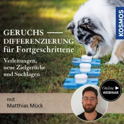 Geruchsdifferenzierung für Fortgeschrittene – Verleitungen, neue Zielgerüche und Suchlagen