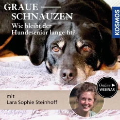 Graue Schnauzen - wie bleibt der Hundesenior lange fit?