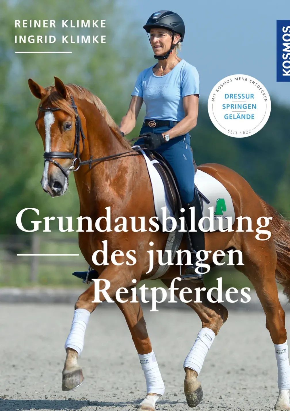 Grundausbildung des jungen Reitpferdes