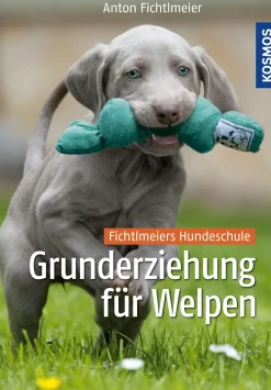 Grunderziehung für Welpen