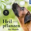 Heilpflanzen für Hunde