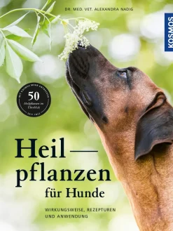 Heilpflanzen für Hunde