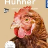 Hühner