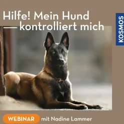Hilfe! Mein Hund kontrolliert mich