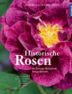 Historische Rosen
