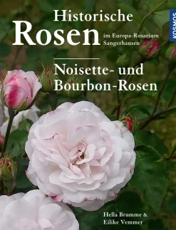 Historische Rosen im Europa Rosarium Sangerhausen: Noisette- und Bourbon-Rosen