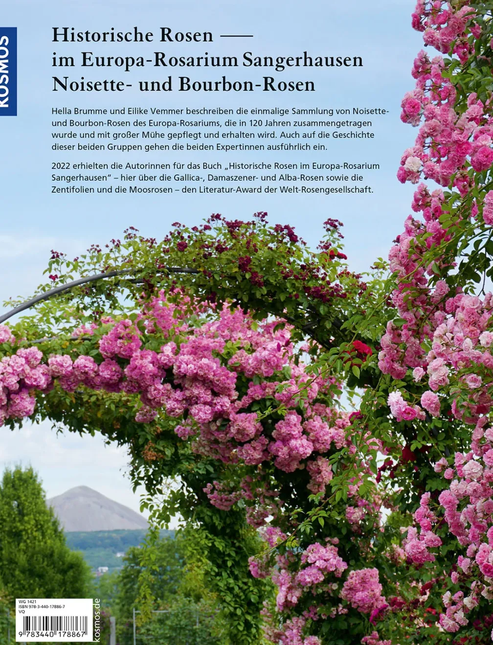 Historische Rosen im Europa Rosarium Sangerhausen: Noisette- und Bourbon-Rosen