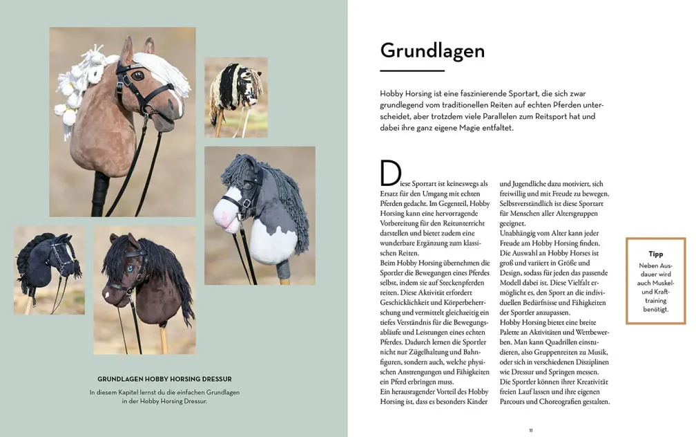 Hobby Horsing Dressurtraining