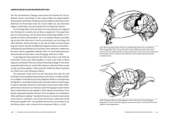 Horse Brain, Human Brain