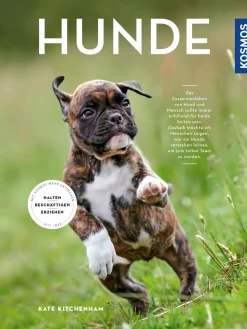 Hunde