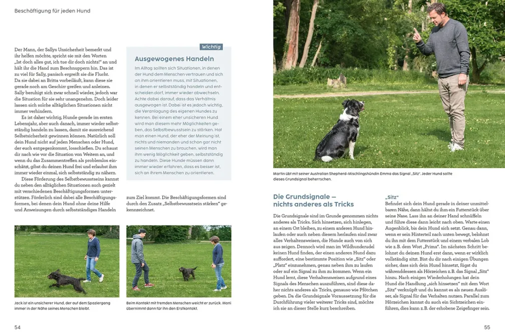 Hunde beschäftigen mit Martin Rütter