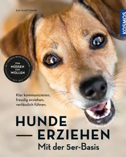 Hunde erziehen – mit der 5er-Basis