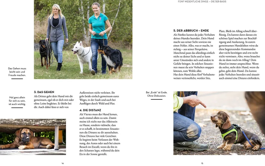 Hunde erziehen – mit der 5er-Basis
