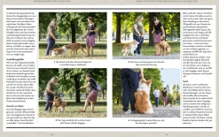 Hunde erziehen – mit der 5er-Basis
