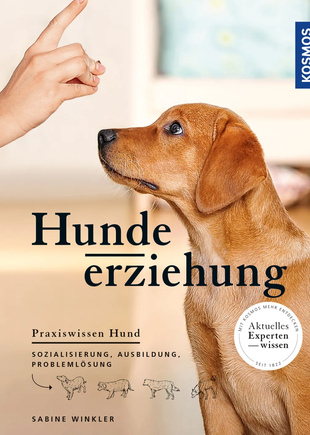 Hundeerziehung