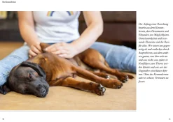 Hunde fühlen und anleiten