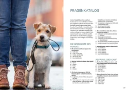 Hundeführerschein und Sachkundenachweis