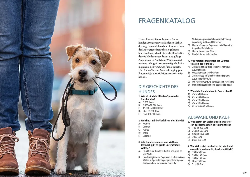 Hundeführerschein und Sachkundenachweis
