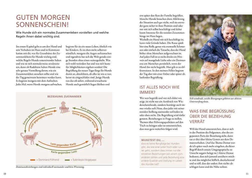 Hunde lesen lernen