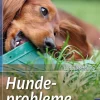 Hundeprobleme