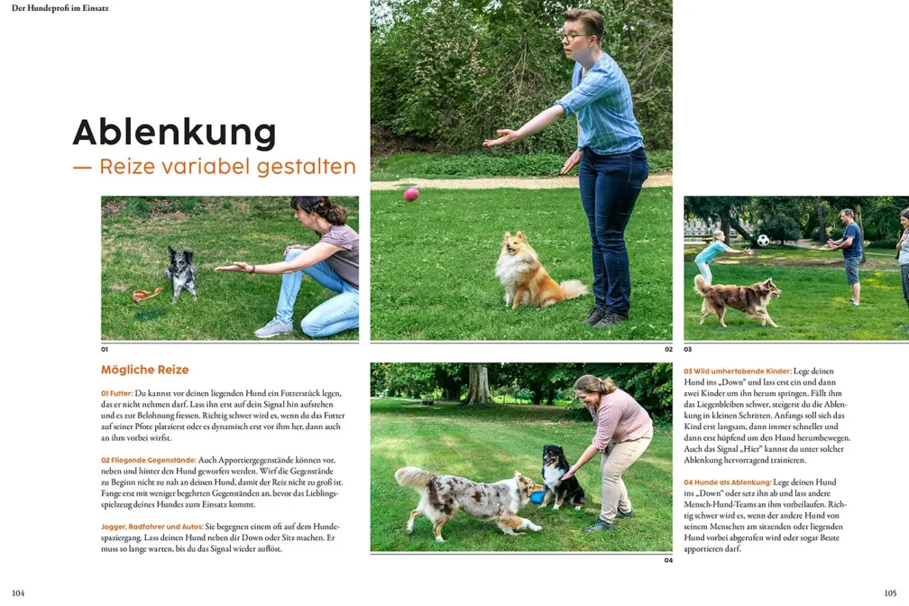 Hundetraining mit Martin Rütter