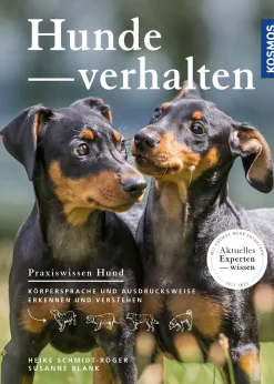 Hundeverhalten