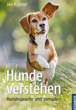 Hunde verstehen