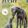 Hundezucht