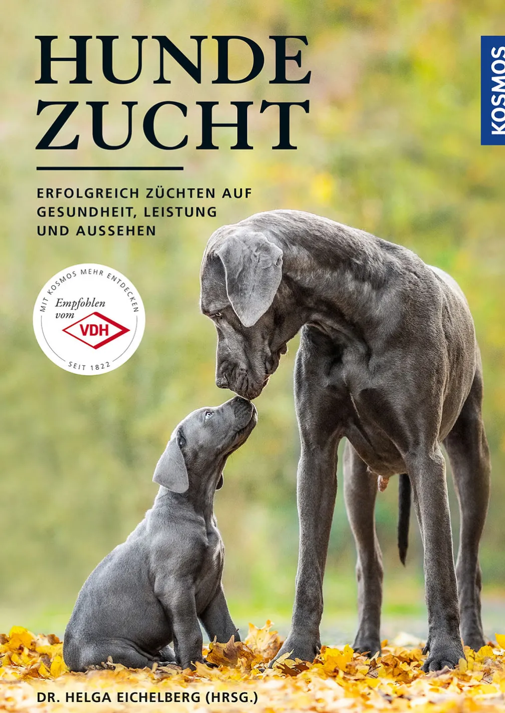 Hundezucht