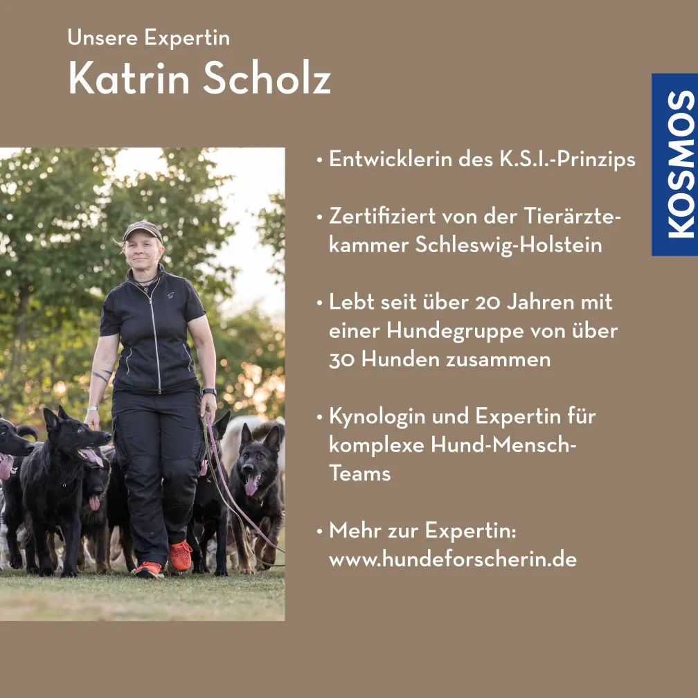 Hund-Mensch-Gespräche – Hund spricht Mensch sollte verstehen