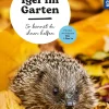 Igel im Garten
