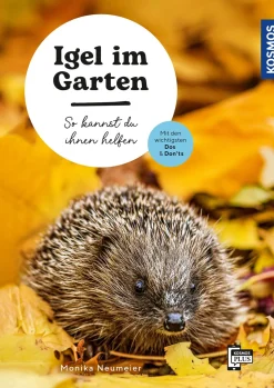 Igel im Garten