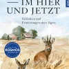 Im Hier und Jetzt